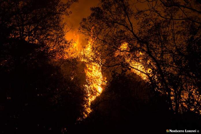 incendio valle alegre NL