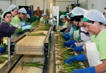 La Justicia suspendió 80 artículos de la reforma laboral, luego de una presentación de la CGT