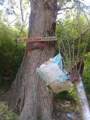 anisacate3 - Anisacate: vecinos limpiaron la rivera del río