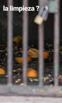 zoo limpieza - Zoo de Córdoba: ya son 200 mil las firmas para impulsar su cierre