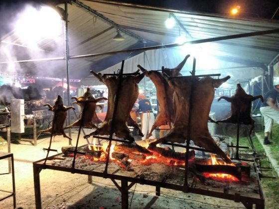 colectividades chanchos - #COLECTIVIDADES2018 : a platea llena, enamoró Luciano Pereyra