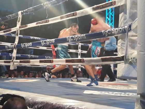 boxeo fofi piña - Coria venció a "Fofi" Moreschi y se quedó con el título provincial