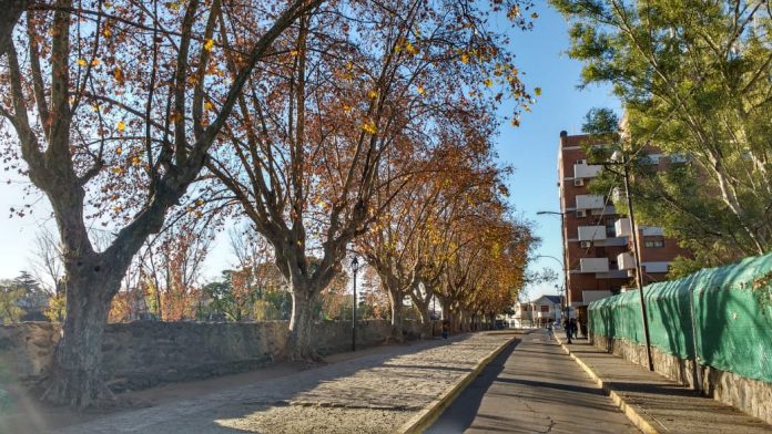 arboles tajamar otoño