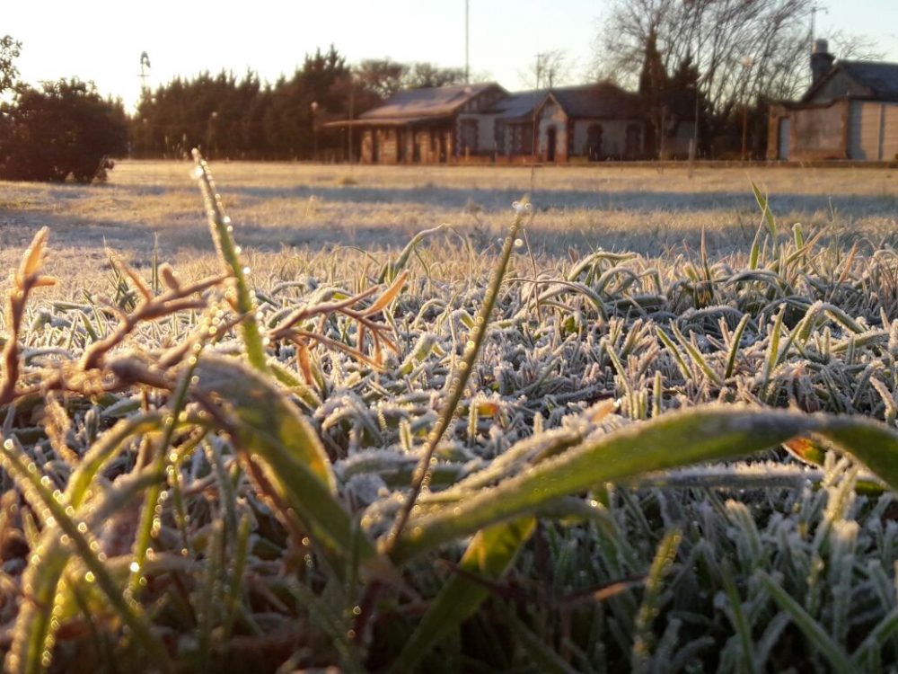 heladas - El martes se registró la temperatura más baja del año