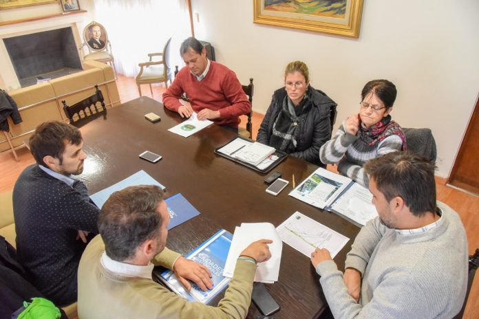 reforestacion parque deportivo