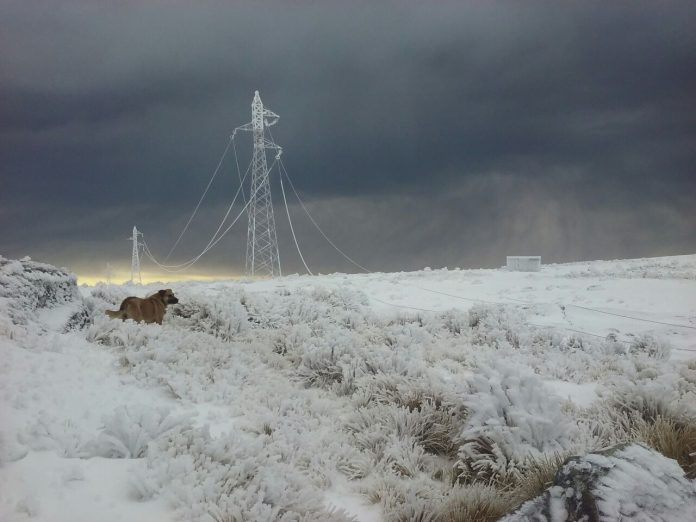 cordoba nevada cba interior informa