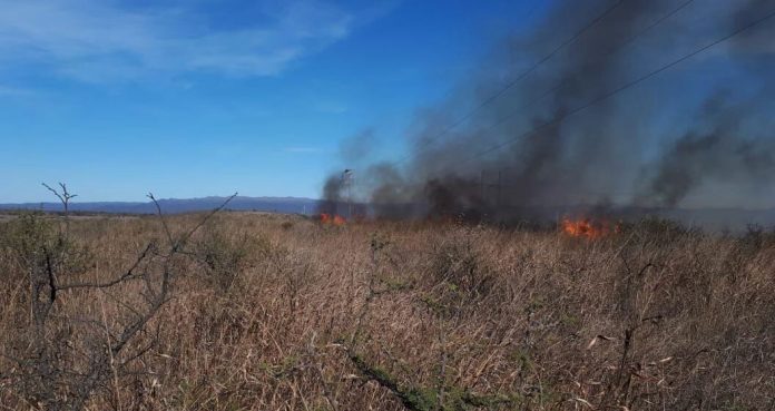 incendio la quintana I E