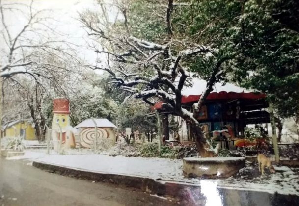 calesita nevada E - Infancia retro: ¿Conocés la historia de Bebelandia?