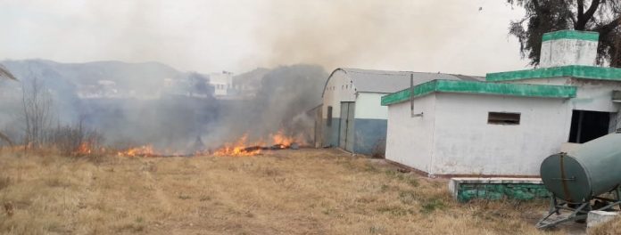 incendio malagueño E
