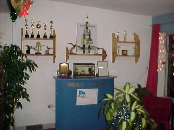 103 premios - La 103.9 FM Alta Gracia cumplió 32 años