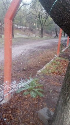 alambrado roto 1 - Denuncian el robo de alambrado olímpico en el García Lorca