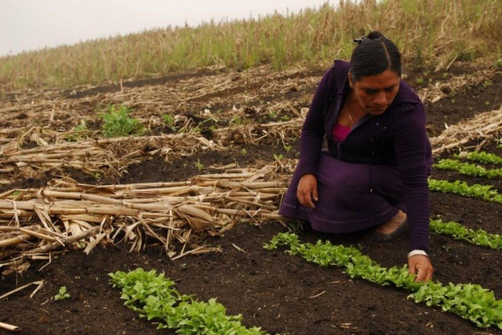 mujeres rurales1 - Malagueño: se realizará el encuentro provincial de mujeres rurales