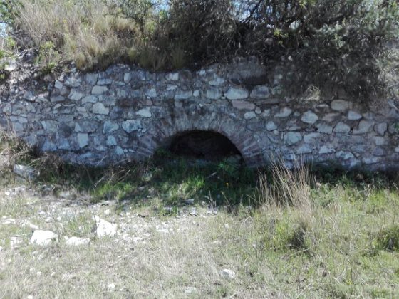 reserva la perla 1 - Se realizó un relevamiento por la Reserva Natural de barrio La Perla