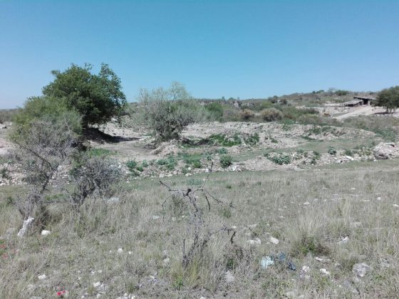 reserva la perla - Se realizó un relevamiento por la Reserva Natural de barrio La Perla