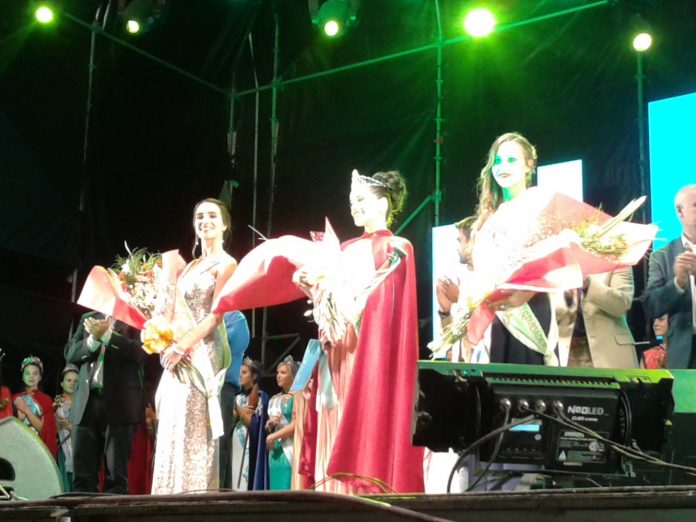 embajadora colectividades