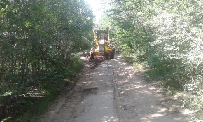 maquinaria anisacate