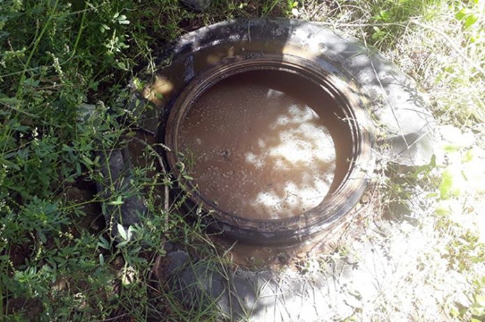policia ambiental villa ciudad de america 1