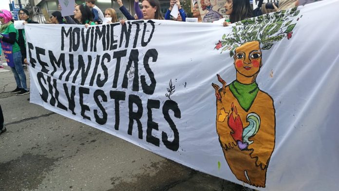 feministas silvestres 1