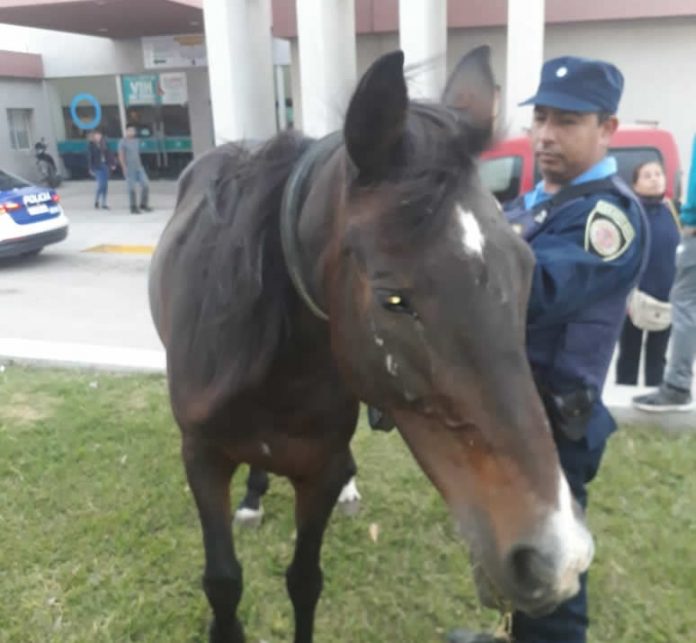 WhatsApp Image 2019-04-15 at 11.59.47