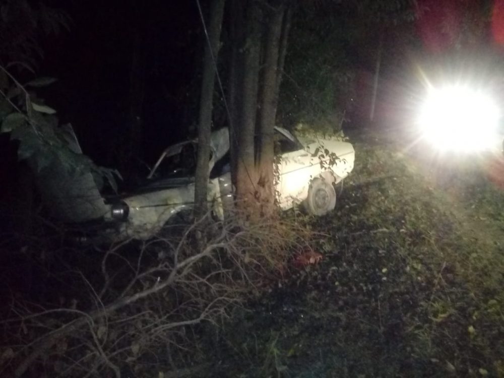 accidente renault 12 - Despistó y colisionó contra unos árboles