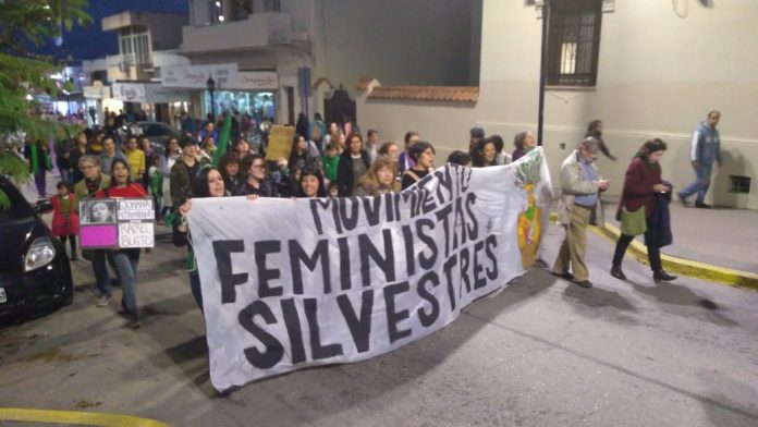 niunamenos feministas silvestres