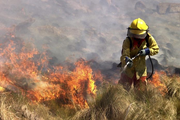 Incendios25- prensa