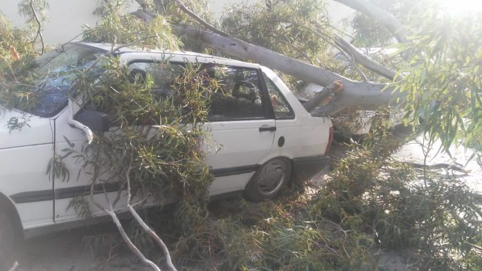 WhatsApp-Image-2019-11-03-at-19.12.52