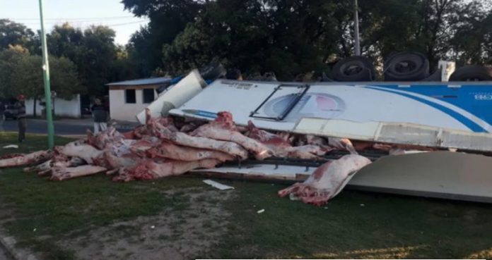 accidente camion frigorifico CBA24N