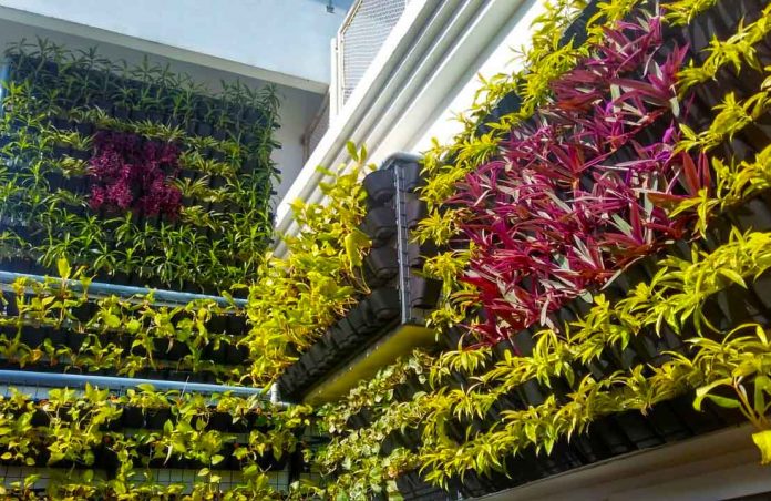 Recomendaciones-para-tu-jardin-vertical