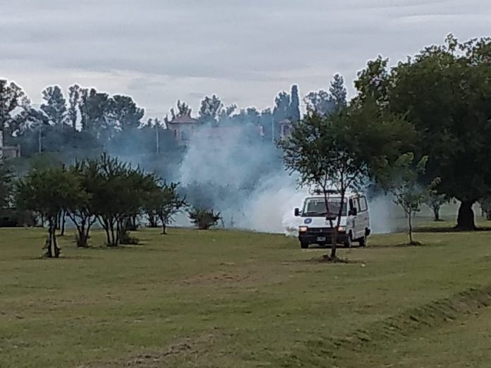 dengue fumigacion potrero de loyola