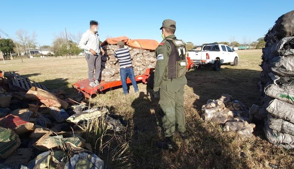 toneladas leña Córdoba 1 - Sinsacate: Gendarmería secuestró 33 toneladas de leña