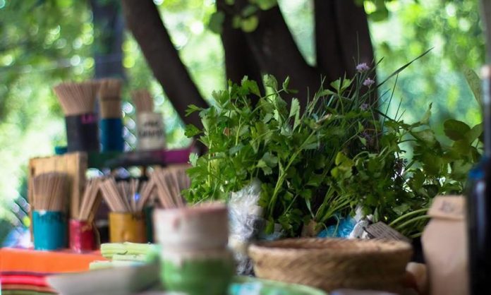 Feria-Agroecologica-Cañito-Cultural