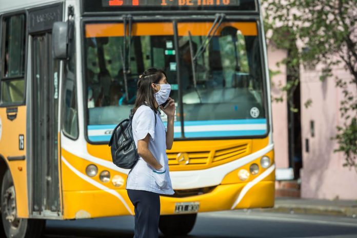 paro transporte coniferal LNM