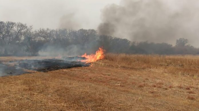 incendio muni anisacate EE