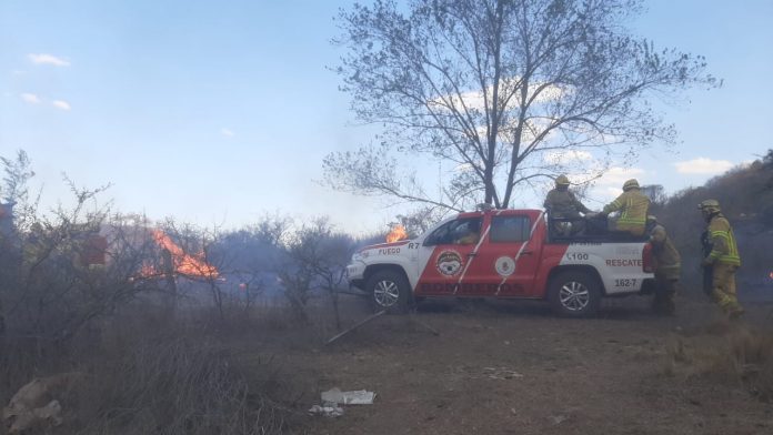 incendio potrerillo de larreta2