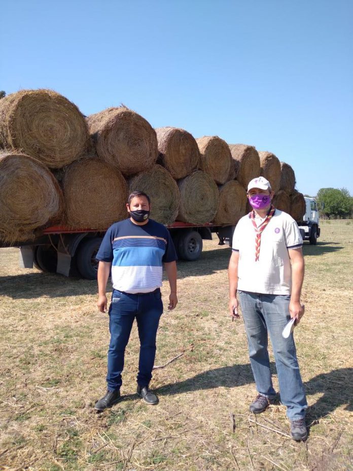mi valle falda del carmen fardos