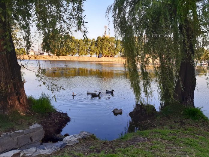 tajamar - soleado- buen clima- despejado -patos