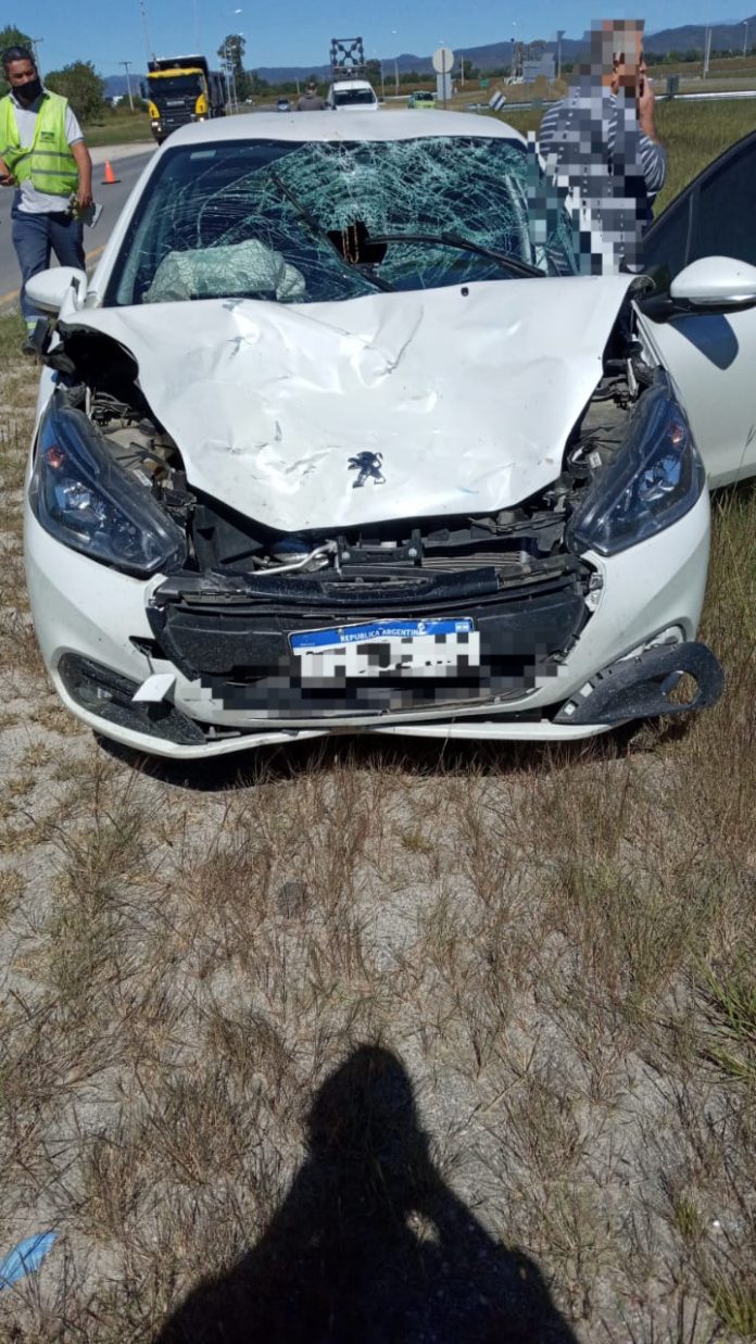 accidente fatal ruta 5 DSM