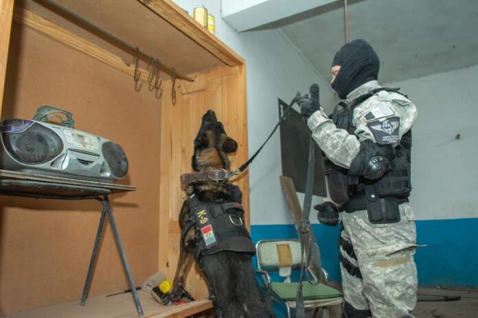 FPA SANTA ROSA- PERRO -FPA