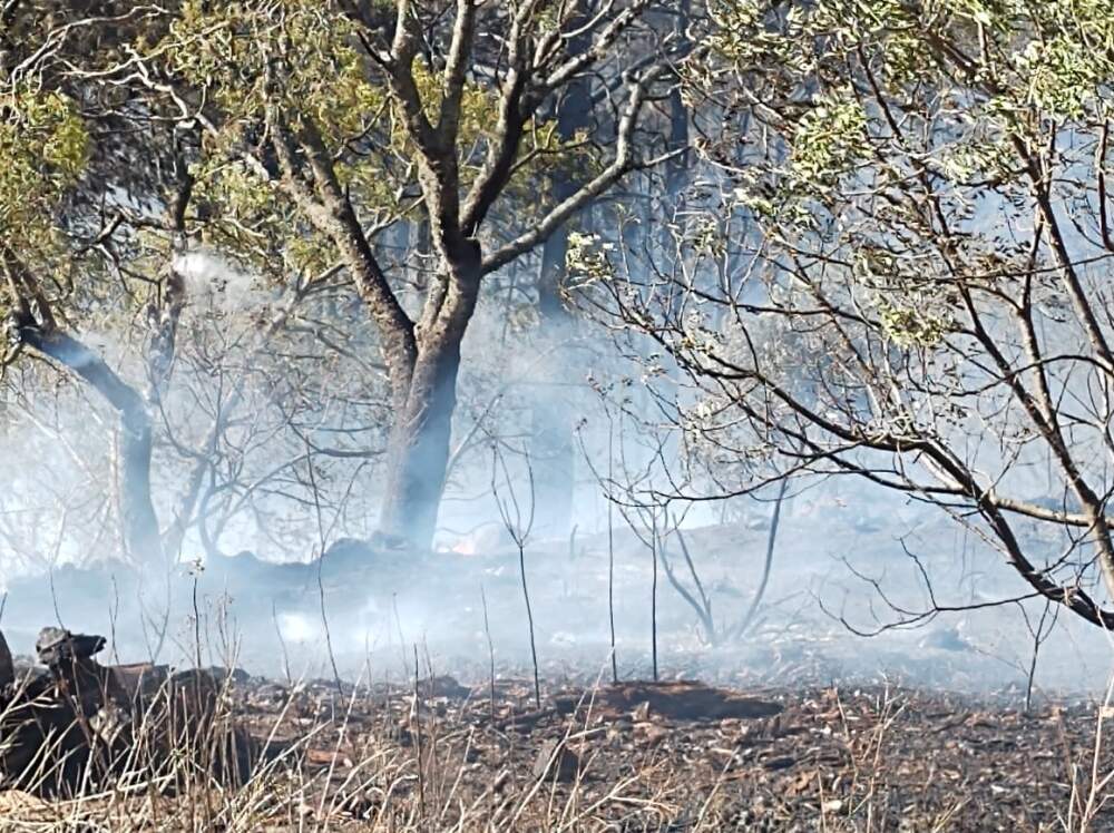 Continúan los focos de incendios en la región incendio potrero 2 - Continúan los focos de incendios en la región