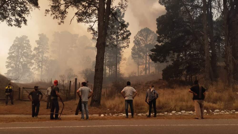 incendio potrero de garay - Incendios forestales: cómo prevenirlos
