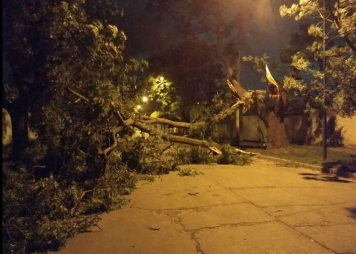 tornado cruz del eje