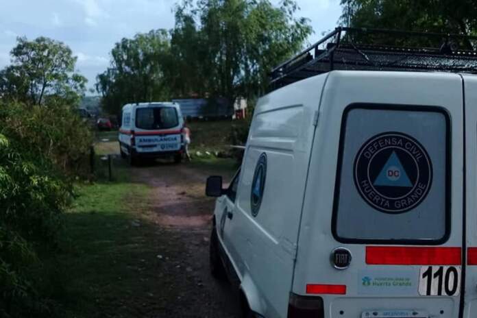 IMAGEN- ABEJAS- HUERTA GRANDE- ESTAFETA ONLINE