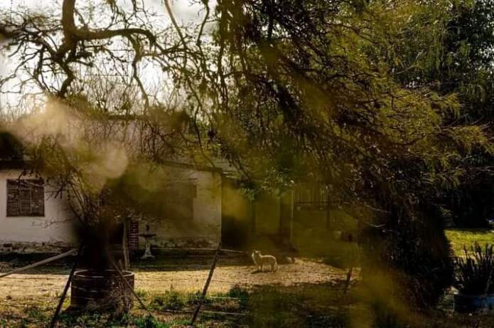 anisacate - mi barrio- proyecto