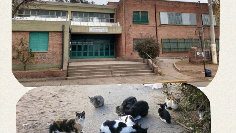 Con una veintena de turnos dados, arrancó el Quirófano Móvil de ADMA njgjpkUniYWqNQI 800x450 noPad - Con una veintena de turnos dados, arrancó el Quirófano Móvil de ADMA
