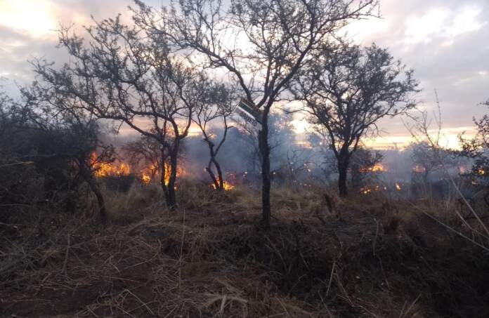 incendio pastizal villa del prado fuego