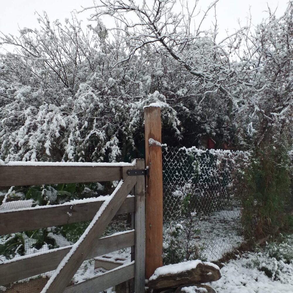 nieve 3 - ¿Nieve en Alta Gracia?: se estima un viernes helado