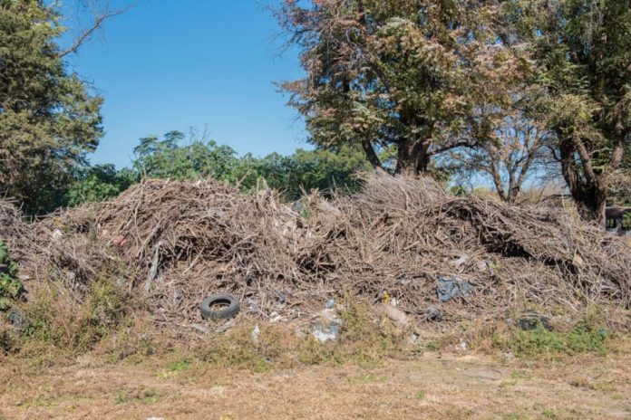 predio ramas poda alta gracia mas verde