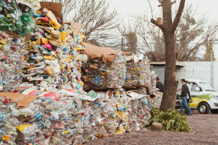planta de acopio y residuos secos