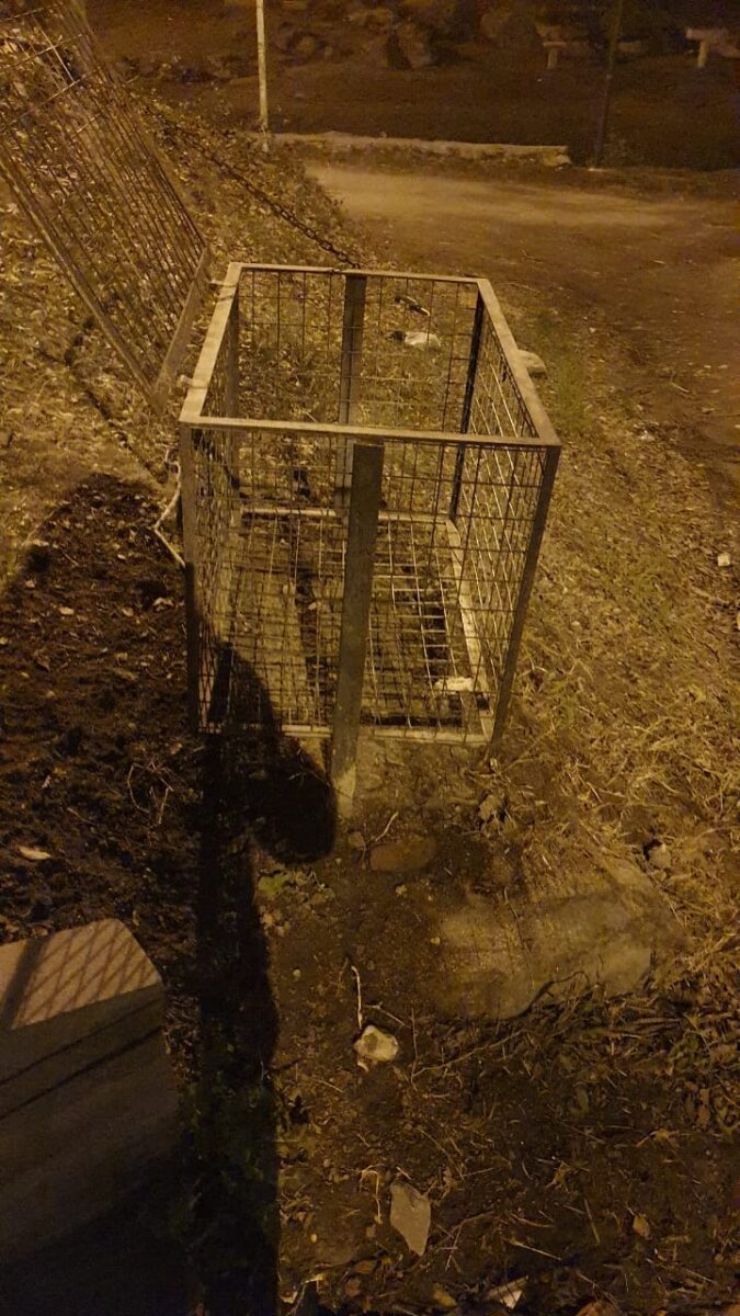 Recolección de basura: reclamo viral y pronta respuesta basura - Recolección de basura: reclamo viral y pronta respuesta